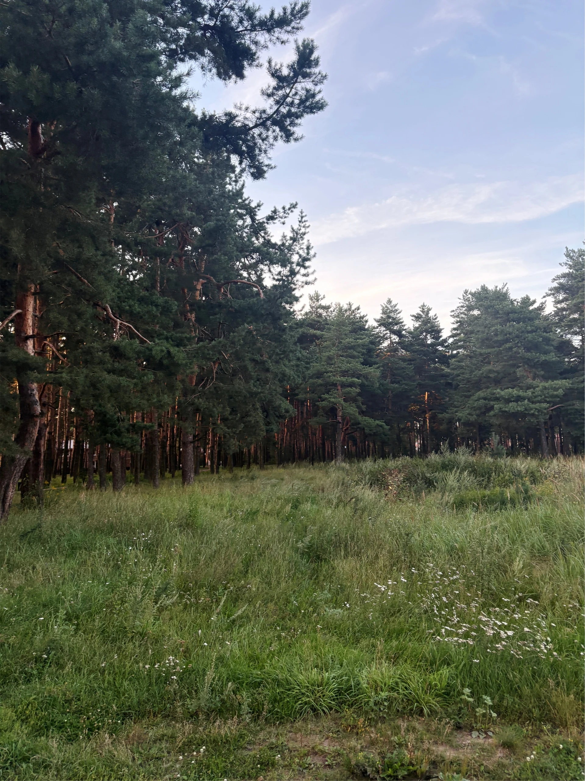 🌞 «Даже в дождливые дни хочется тепла — ловите кусочек лета у Экогорода 3» 
 
Посмотр...