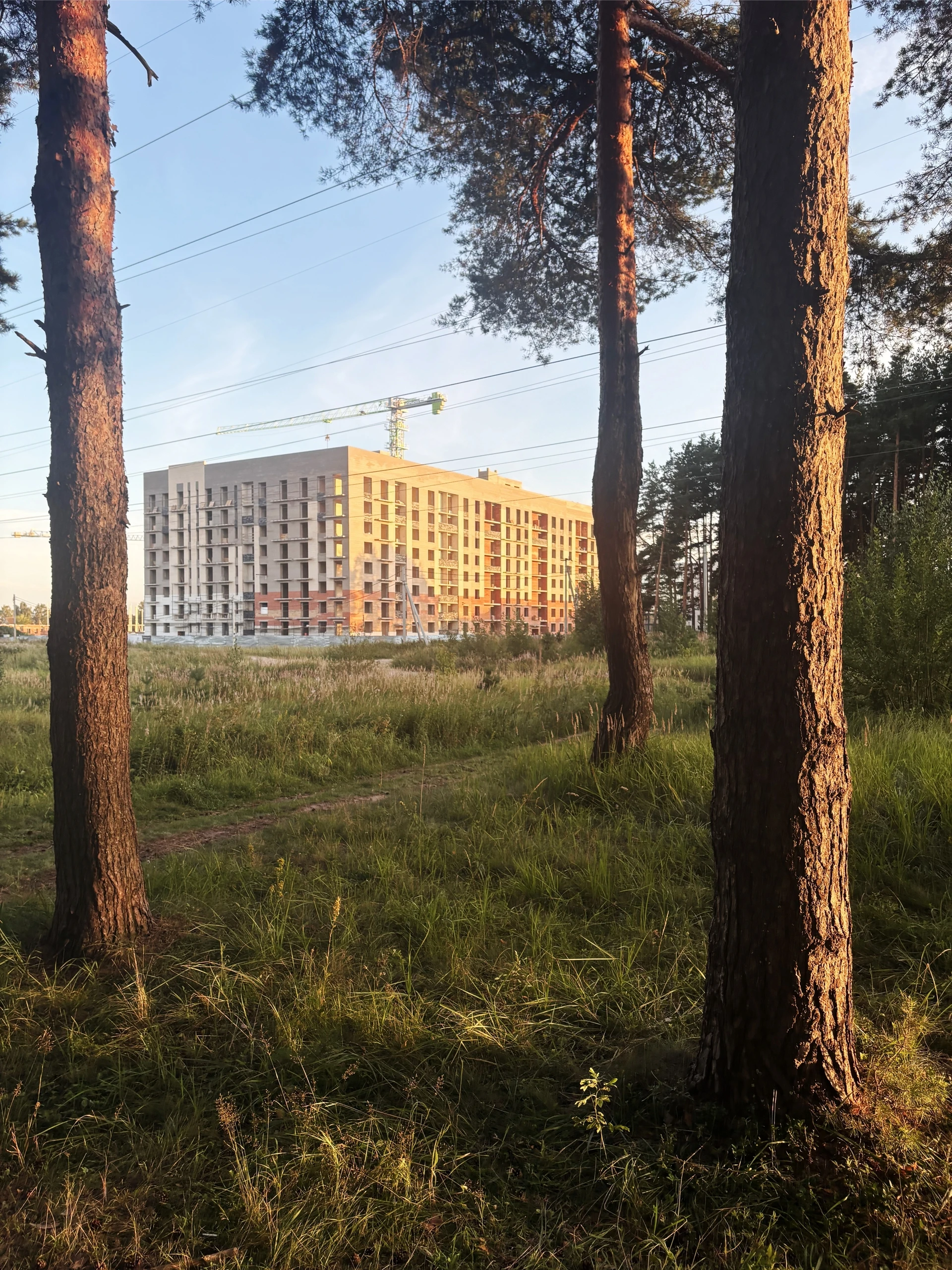 🌞 «Даже в дождливые дни хочется тепла — ловите кусочек лета у Экогорода 3» 
 
Посмотр...