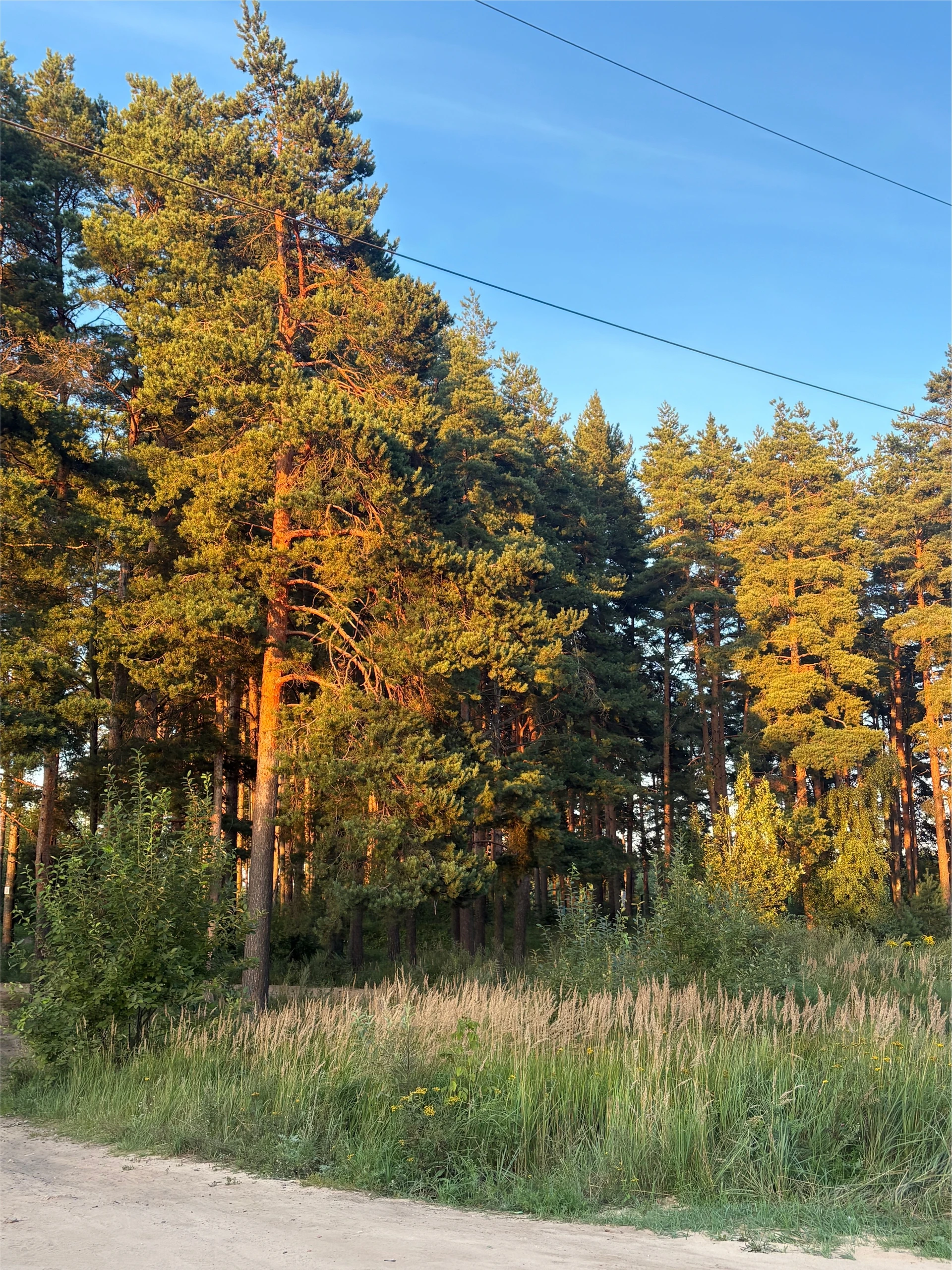 🌞 «Даже в дождливые дни хочется тепла — ловите кусочек лета у Экогорода 3» 
 
Посмотр...