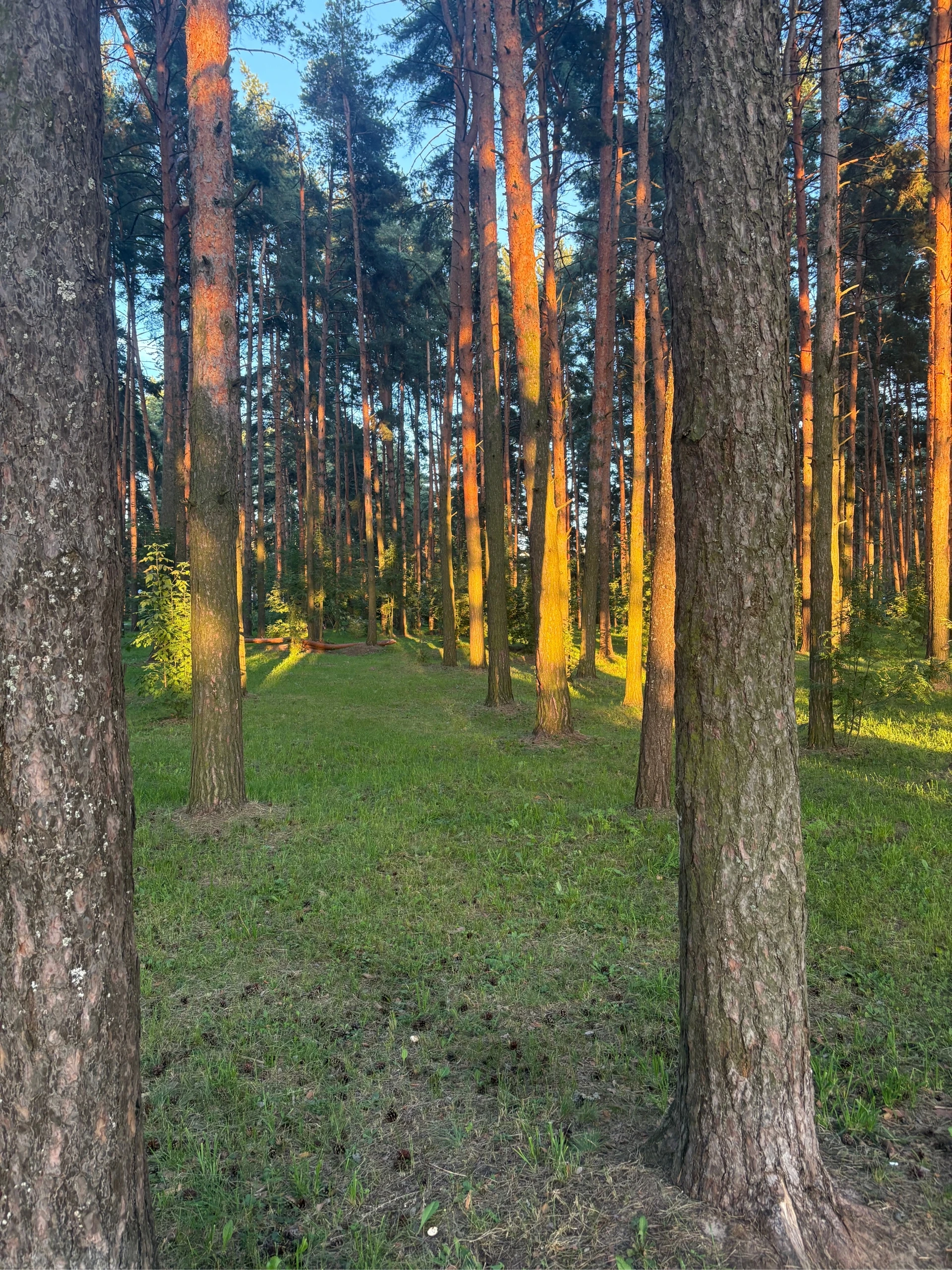 🌞 «Даже в дождливые дни хочется тепла — ловите кусочек лета у Экогорода 3» 
 
Посмотр...